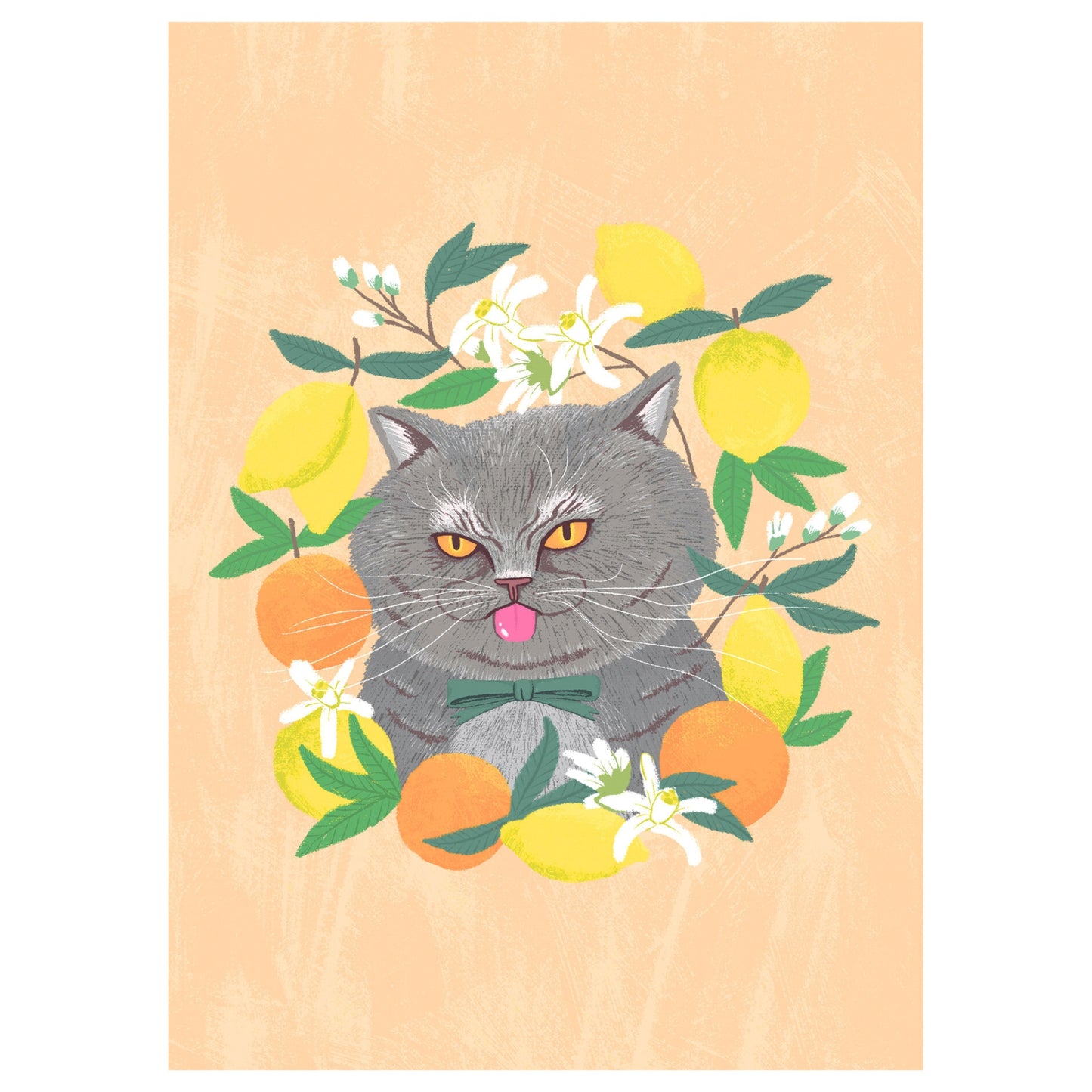 Lemon Cat postcard