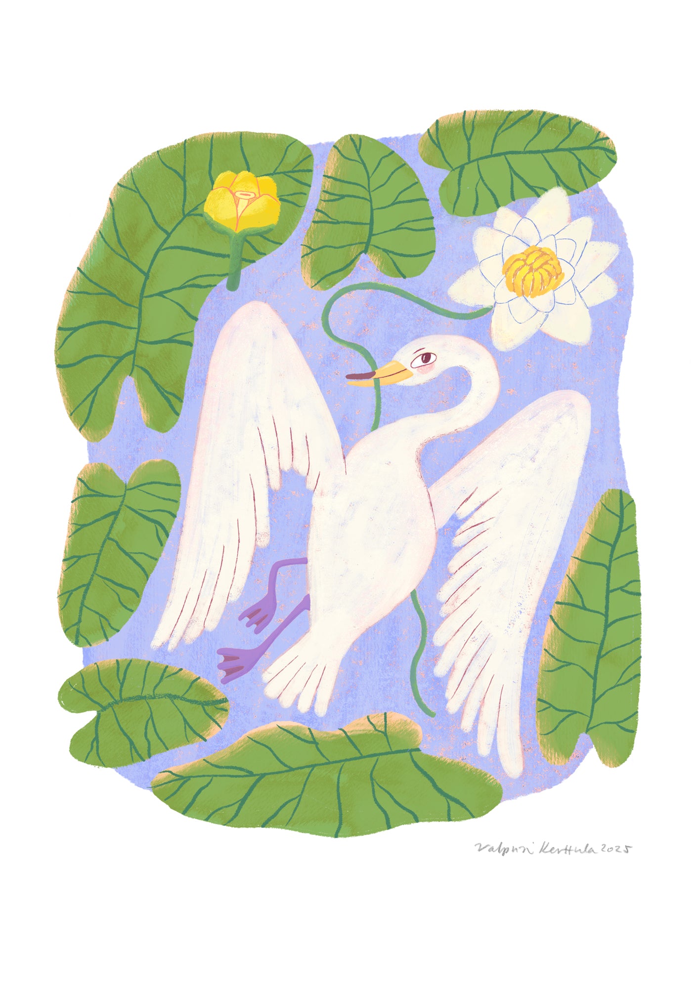 Laulujoutsen fine art print A4