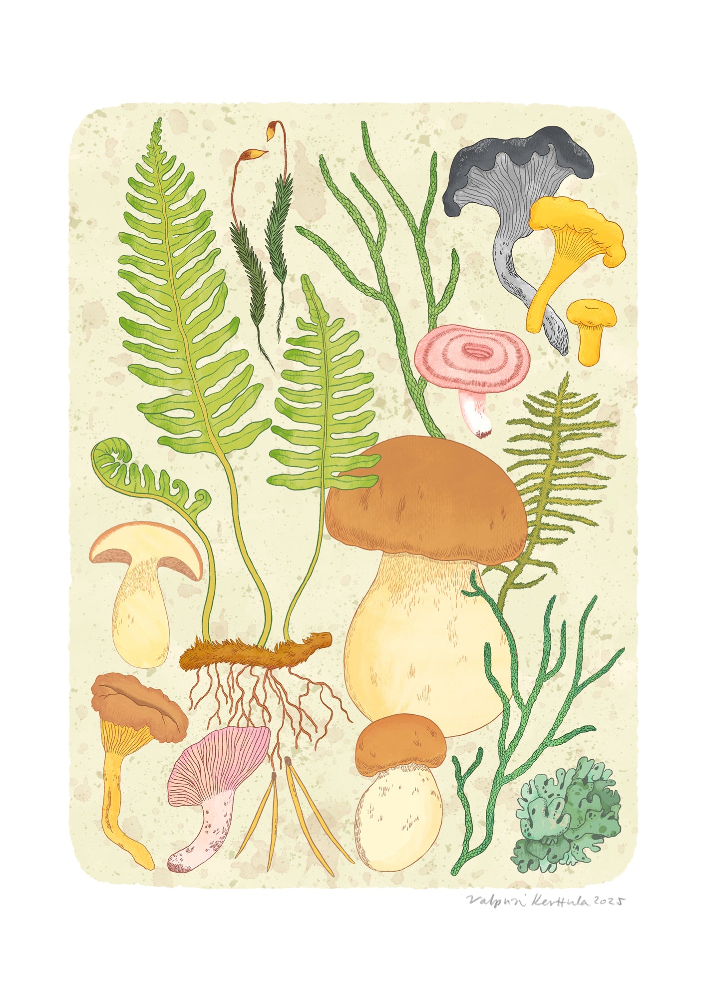 Mushroom Forest fine art print A4