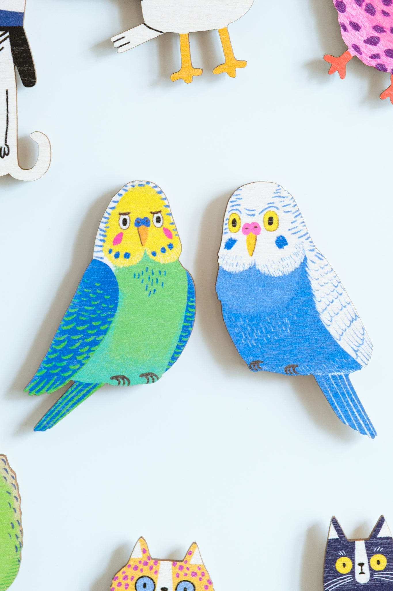 Budgies magnet