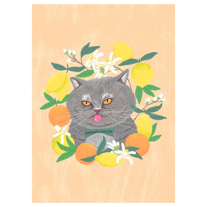 Lemoncat postcard