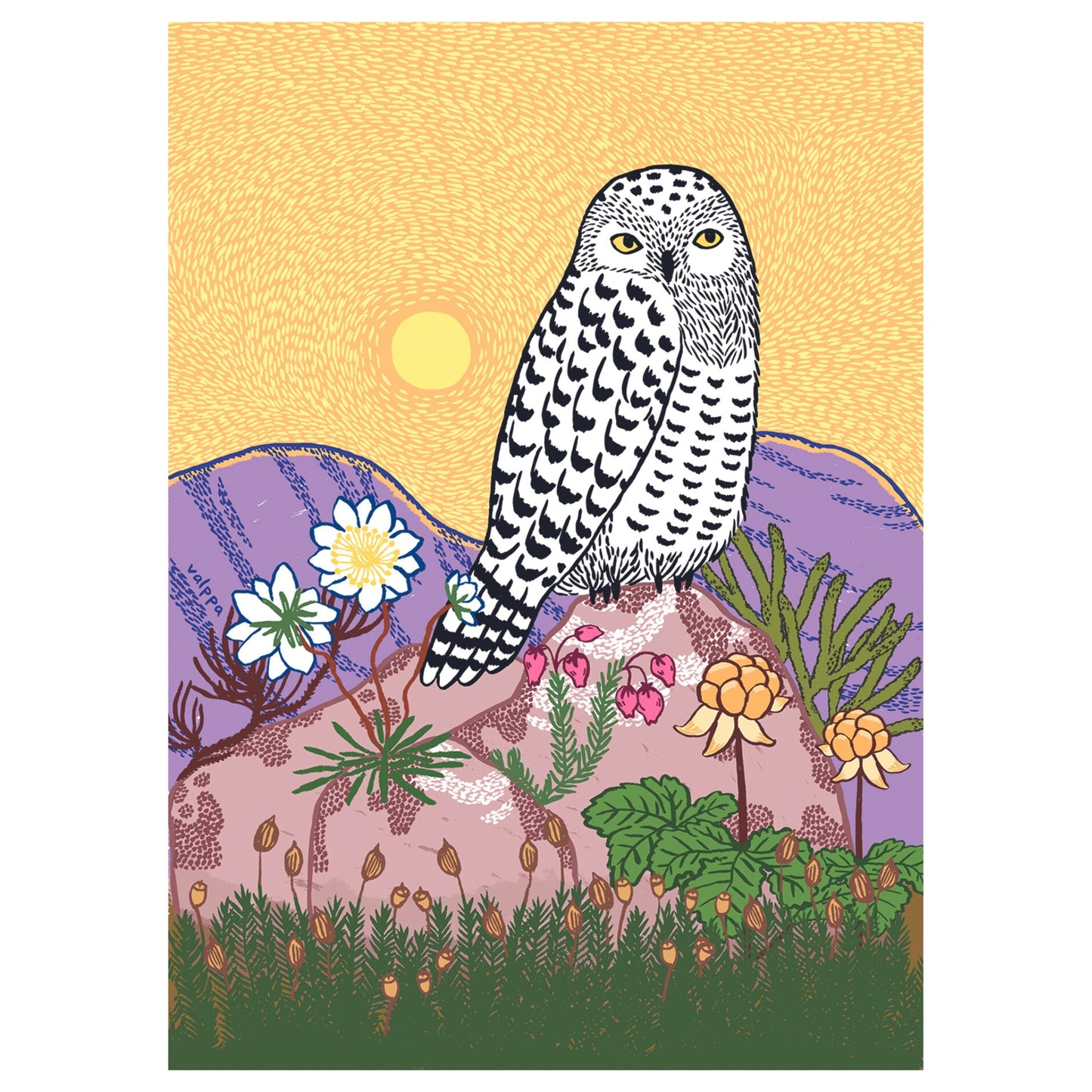 Snowy Owl postcard