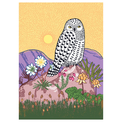 Snowy Owl postcard