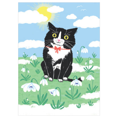 Snowdrop Cat postcard