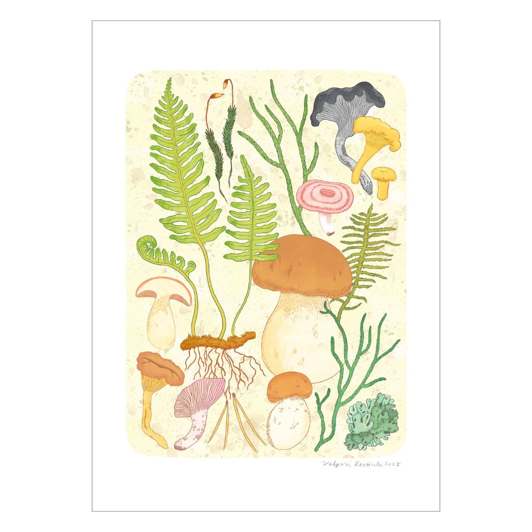 Mushroom Forest fine art print A4